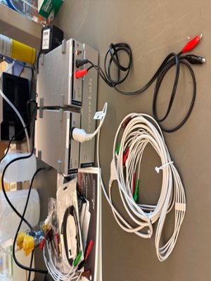 Muscle and Nerve Stimulator Equipment